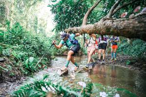 BIB: 
                            <button type="button" onclick="openModal(25516327)" class="btn btn-primary btn-sm float-right btn-popup" data-toggle="modal" data-target=".modal-high-quality">
                        <i class="fas fa-shopping-cart"></i> Add to Cart
                    </button>
                                            <button type="button" onclick="isThisMe(25516327, true)" class="btn btn-success btn-sm float-right btn-popup btn-isme hidden" data-toggle="tooltip" data-placement="bottom" title="นี่คือรูปของคุณใช่ไหม คลิกที่นี่เพื่อเอาเข้าอัลบั้ม">
                        <i class="fas fa-plus"></i> Add to album
                    </button>
                    <button type="button" onclick="isThisMe(25516327, false)" class="btn btn-warning btn-sm float-right btn-popup btn-isnotme hidden">
                        <i class="fas fa-ban"></i> Remove from album
                    </button>